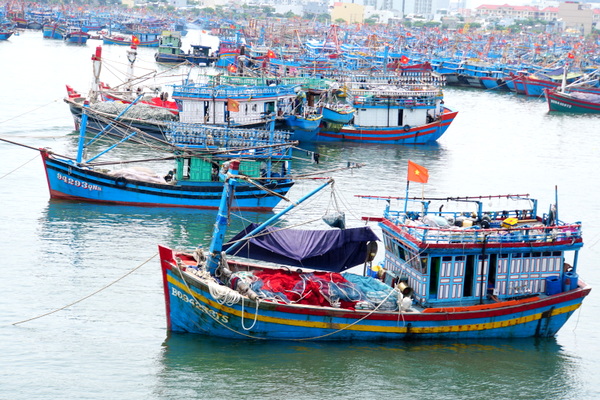 cung cấp gạo sạch cho tàu biển